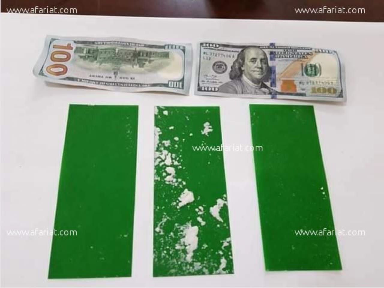 Billets de banque verts